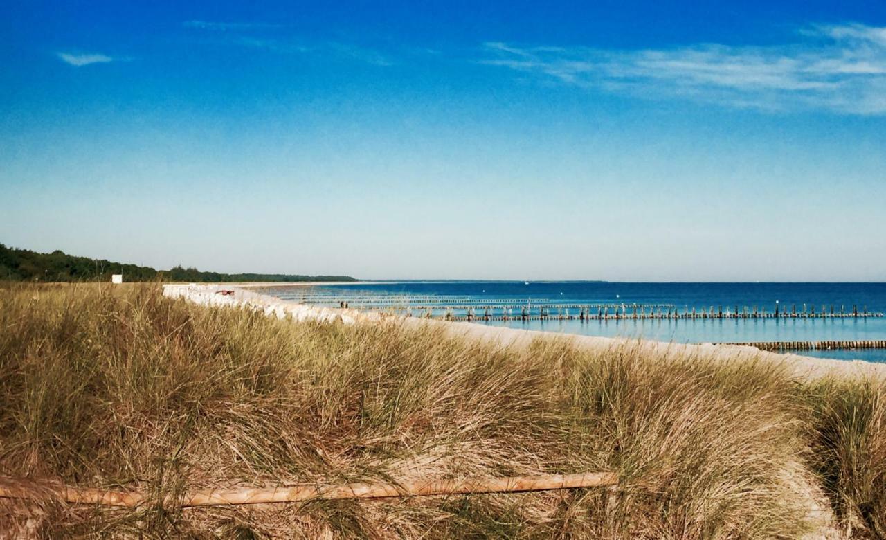 Little Rose Zingst Exterior photo